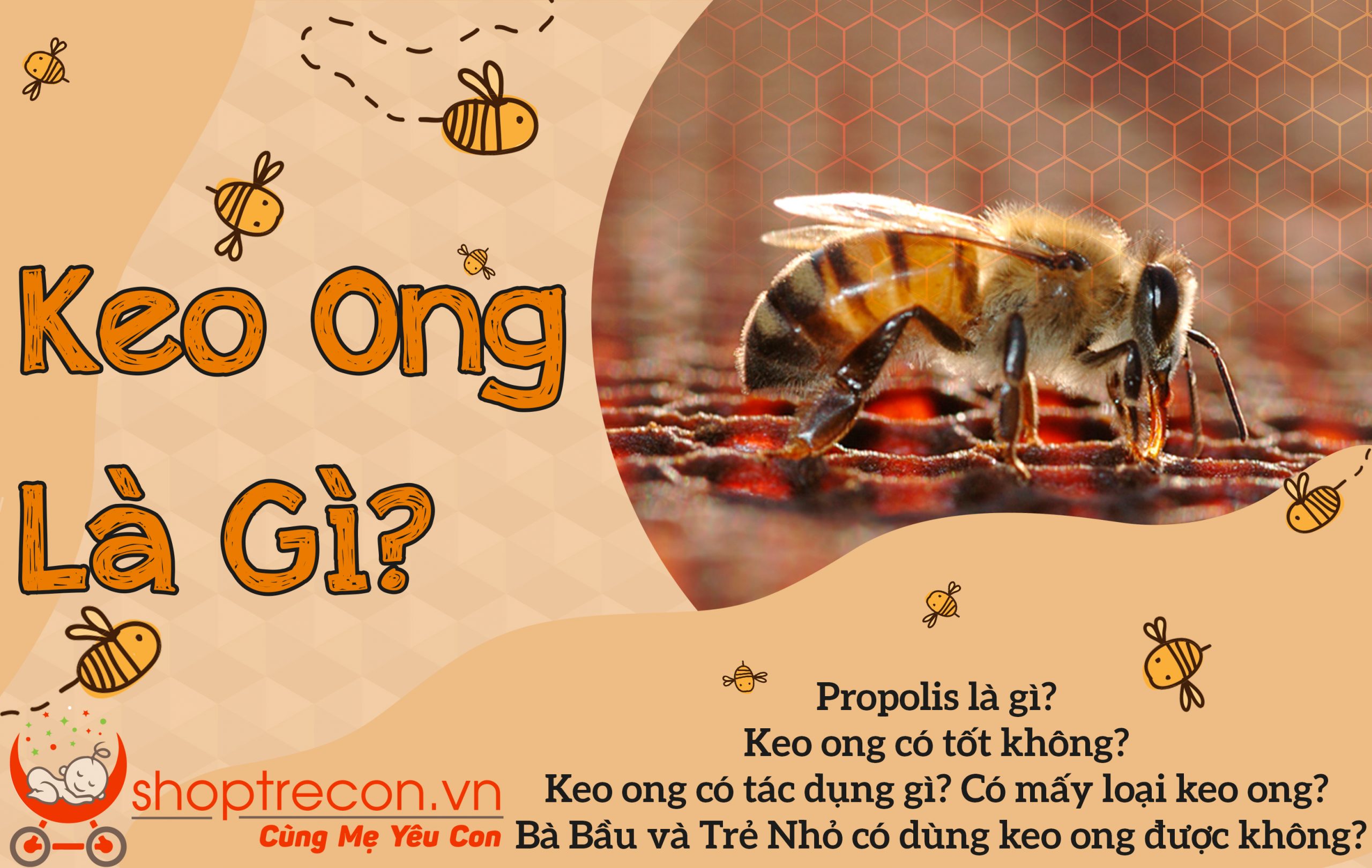 Vậy Keo Ong (Propolis) Là Gì? Keo Ong Có Tốt Không? Keo Ong Có Tác Dụng Gì? Có Mấy Loại Keo Ong? Bà Bầu Và Trẻ Nhỏ Có Dùng Keo Ong Được Không?